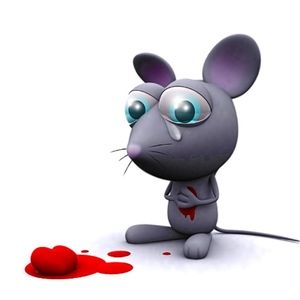 Meet your Posher, Akiko